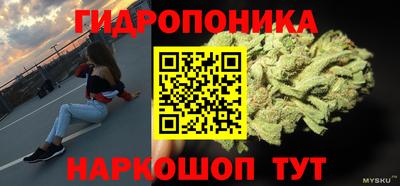 гашик Пыть-Ях