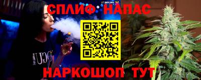 МДПВ Пугачёв