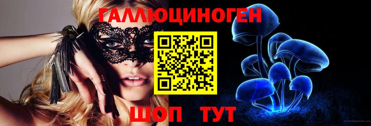 купить наркотики цена  Вход с VPN  Сертолово  Псилоцибиновые грибы MAGIC MUSHROOMS 